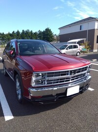 光岡 バディ 20DX_4WD(CVT_2.0)