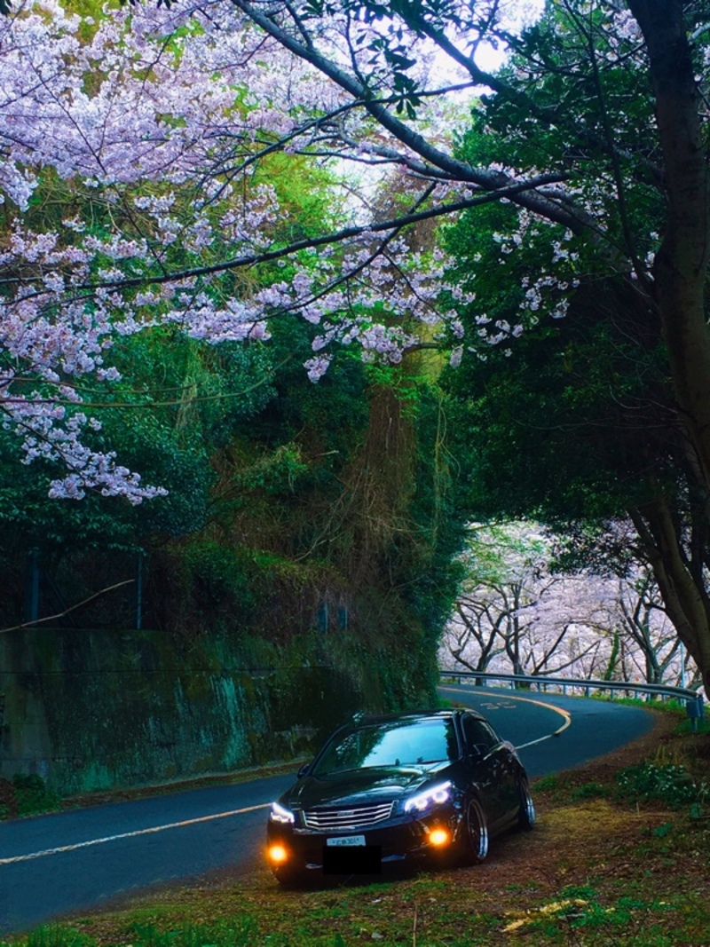 ホンダ インスパイア