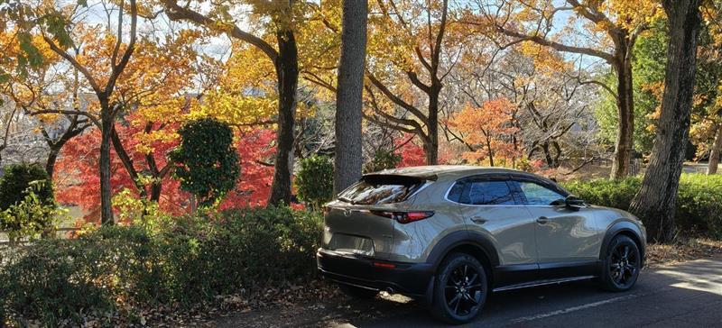 マツダ CX-30 ハイブリッド 20S レトロスポーツエディション(EC-AT_2.0)