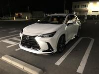 レクサス NX 250“バージョンL”(AT_2.5)