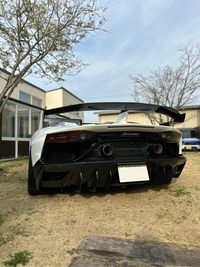 ランボルギーニ アヴェンタドール ロードスター SVJ ロードスター_LHD_4WD(ISR_6.5)