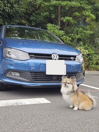 フォルクスワーゲン ポロ ブルーGT_RHD(DSG_1.4)