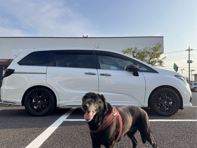 ホンダ オデッセイ e：HEV アブソルート・EX ブラックエディション(CVT_2.0)