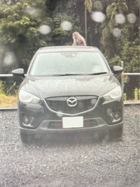 マツダ CX-5