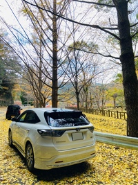 トヨタ ハリアーハイブリッド ハイブリッド プレミアム“アドバンスドパッケージ”_4WD(CVT_2.5)