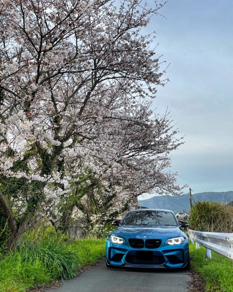 BMW M2 クーペ M2 クーペ_RHD(M DCT_3.0)