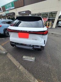 レクサス RX 350“Fスポーツ”_AWD(AT_2.4)