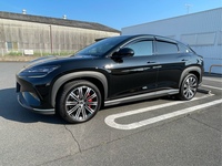 BYD シーライオン7 シーライオン7 AWD_RHD