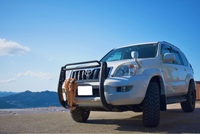 トヨタ ランドクルーザープラド TZ_4WD(5ドア_AT_3.4_8人乗)