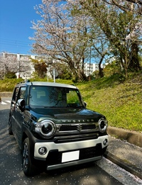 スズキ ハスラー