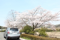 スバル フォレスター 2.0XT アイサイト_AWD（CVT_2.0）