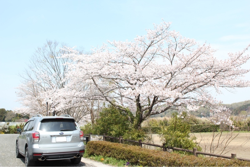 スバル フォレスター 2.0XT アイサイト_AWD（CVT_2.0）