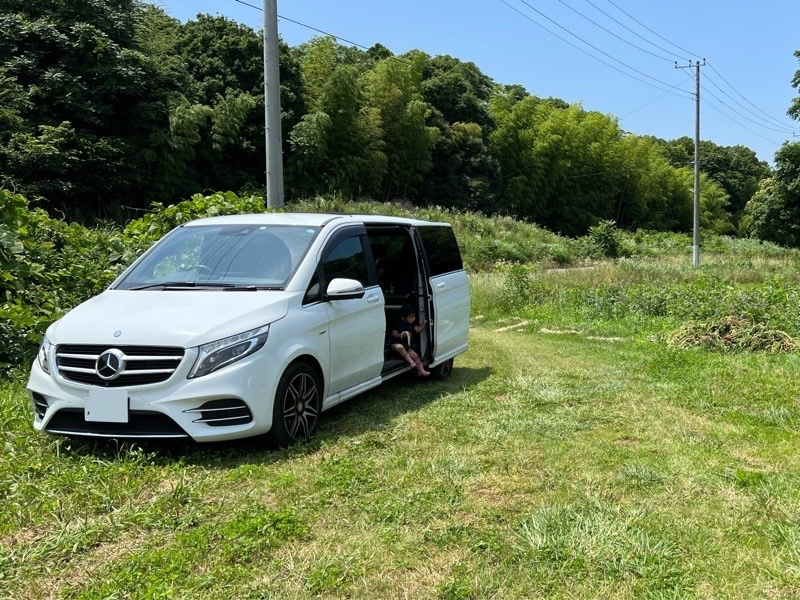 メルセデス・ベンツ Vクラス V220d アバンギャルド ロング_RHD(AT_2.2)