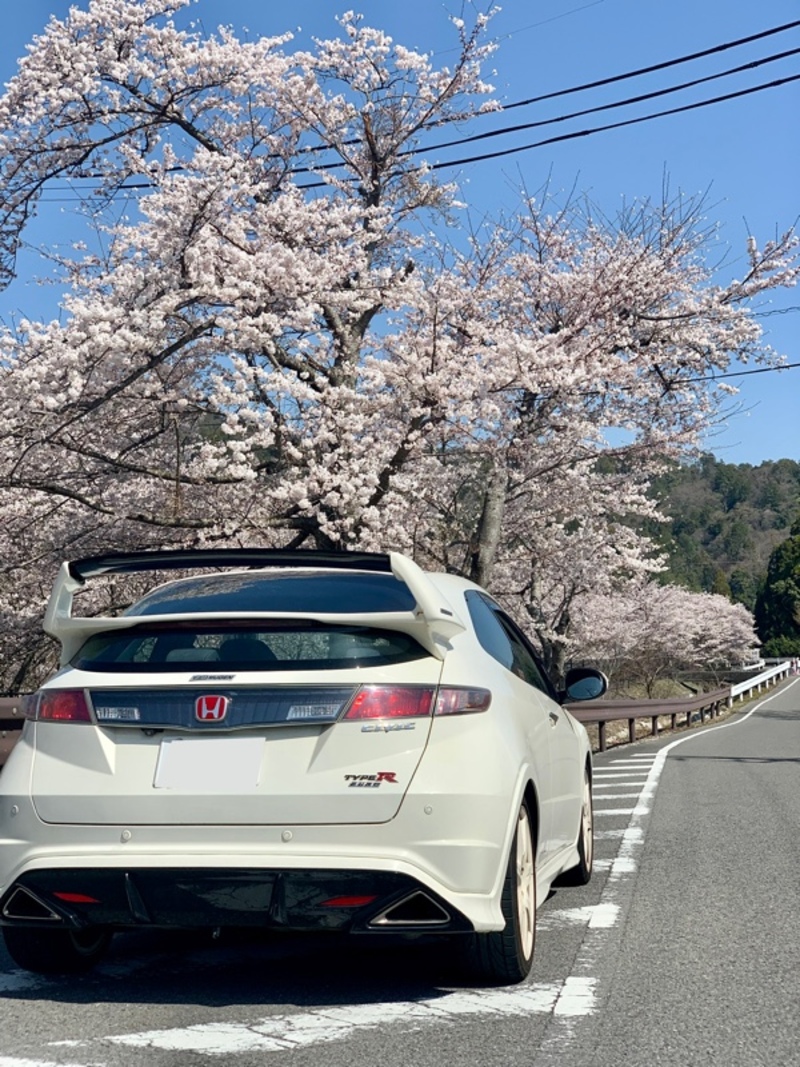 ホンダ シビックタイプRユーロ タイプRユーロ(MT_2.0)