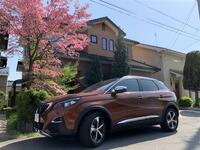 プジョー 3008 GT ブルーHDi_RHD(EAT_2.0)