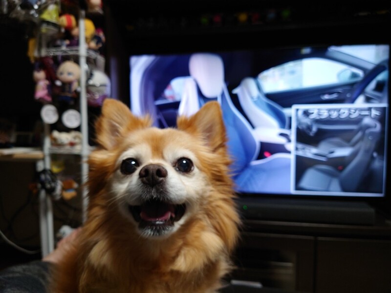 ホンダ プレリュード プレリュード(CVT_2.0)