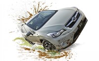 XV