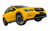 XV