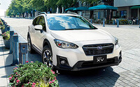 XV