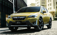 XV