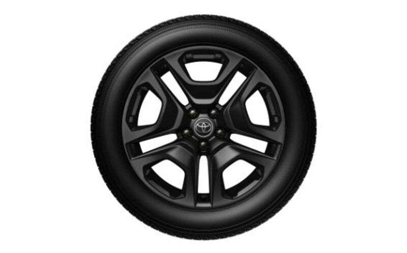 RAV4