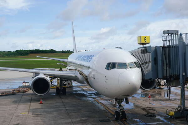 かつて「ジャンボ」も投入 JALの「最も身近な海外リゾート地」現状は？ 就航55周年…“スゴいキャンペーン”も