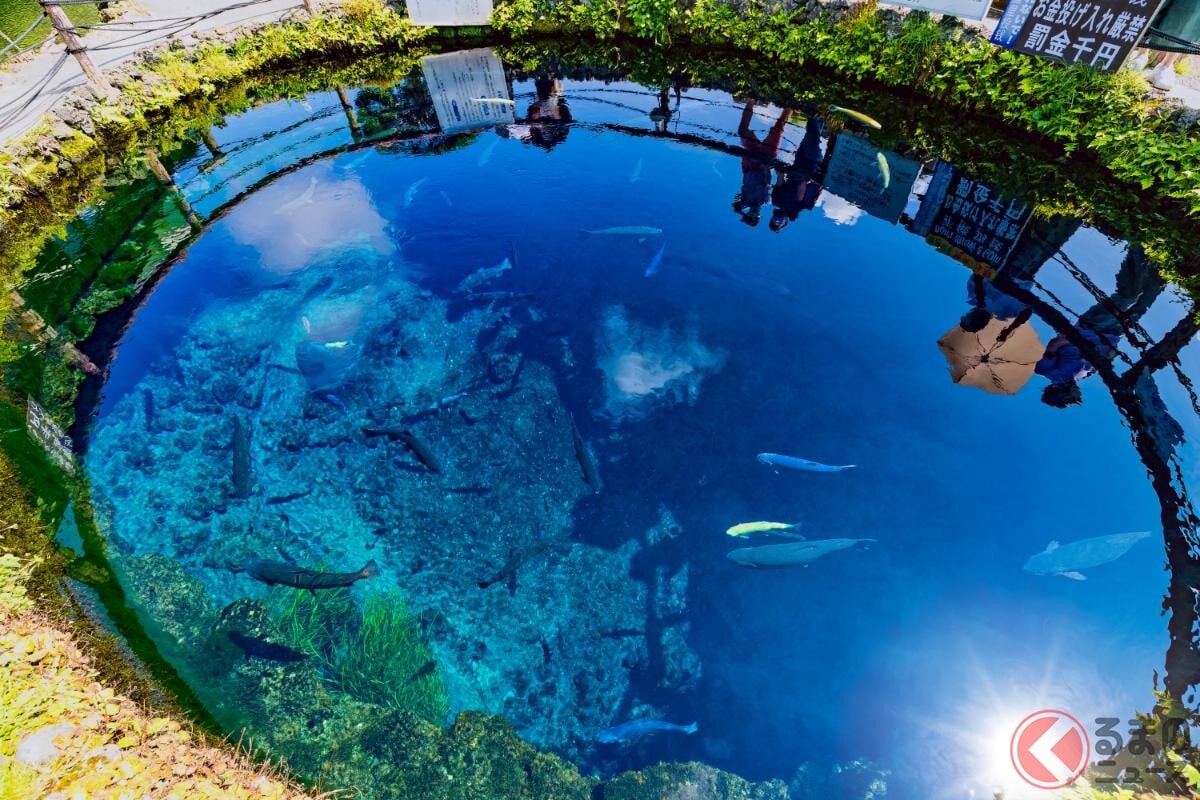 富士山麓の「渋滞」回避へ！ 国道138号の「抜け道」開通に歓喜の声、忍野村「村道鐘山線」