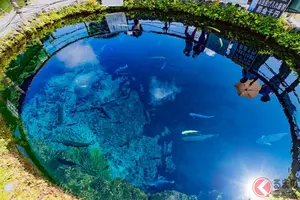 富士山麓の「渋滞」回避へ！ 国道138号の「抜け道」開通に歓喜の声、忍野村「村道鐘山線」