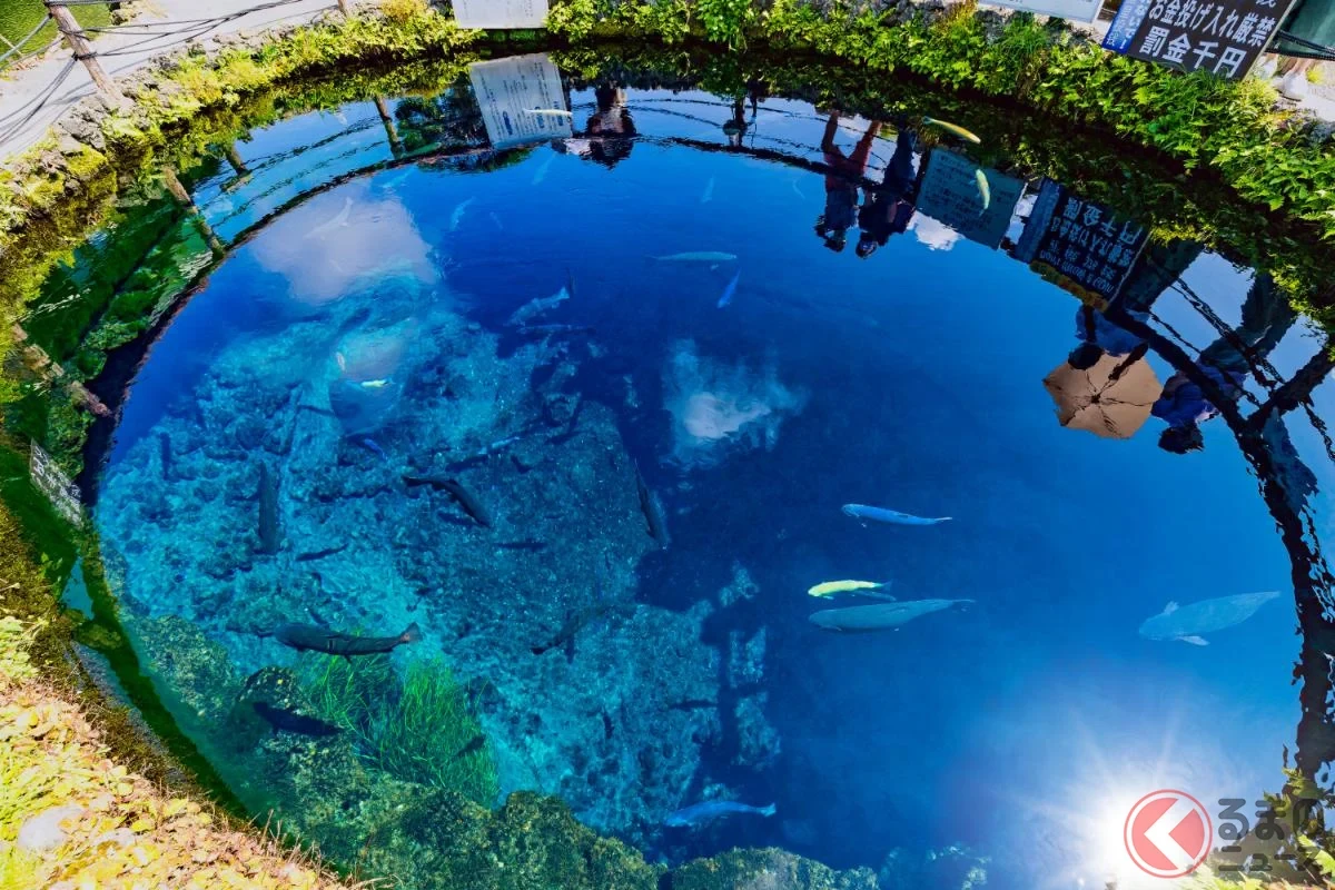 富士山麓の「渋滞」回避へ！ 国道138号の「抜け道」開通に歓喜の声、忍野村「村道鐘山線」