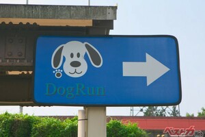 犬好きドライバー必見！中国・四国エリアの犬が喜ぶSA・PAベスト3