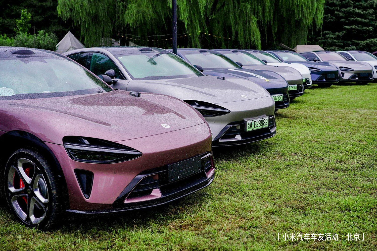 EVがますます加速する中国市場！　ただし「人気車」はかなりの変化アリ