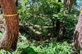 長野県松本市に残る「林城跡」は信濃の歴史が宿る希少な城郭遺跡だった　バイクで往く城跡巡り