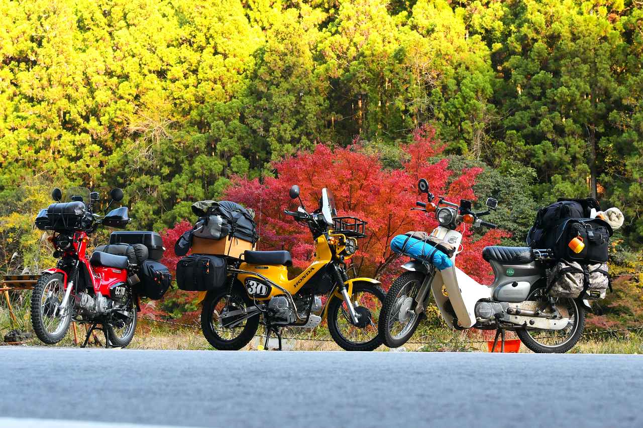 スーパーカブ90とクロスカブ2台で ヒラメを釣ったり紅葉探したりのキャンプツーリング 調理法もあるでよ 若林浩志のスーパー カブカブ ダイアリーズ Vol 48 Webオートバイ 自動車情報サイト 新車 中古車 Carview