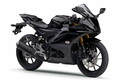 ヤマハが「YZF-R125」「MT-125」「XSR125」の新車購入で免許取得費用を1万円サポート！ 126cc以上は2万円だっ!!