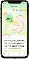国交省、妊婦向けアプリ「ninaru」へチャイルドシート安全性能評価を配信