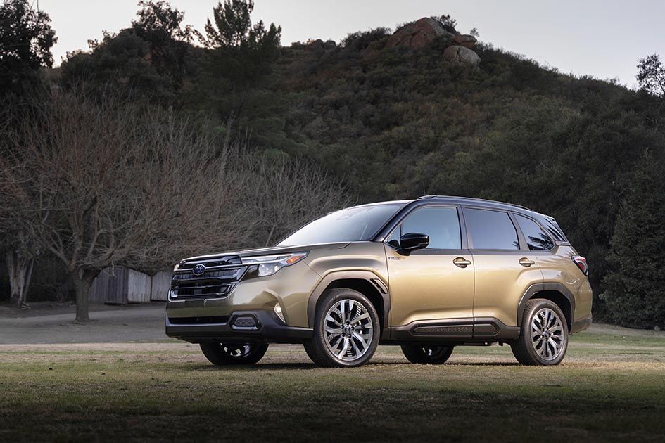Forester 1-5×24 GenII ｜ Vector Optics 日本公式サイト