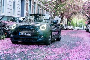 MINIが桜の魅力を特別仕様車の「コンバーチブル・サイドウォーク」でアピール