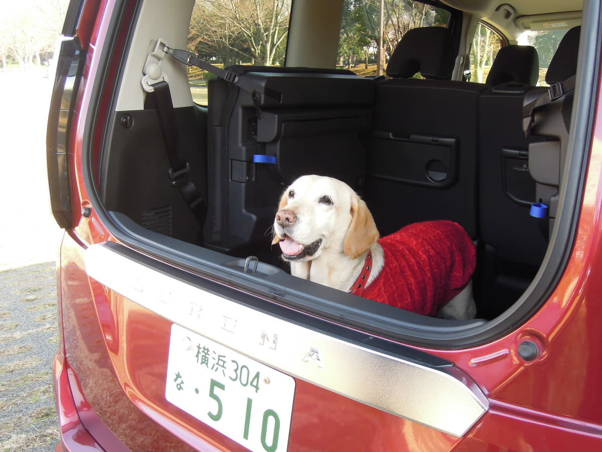 プロの愛犬家に聞く わんことの旅行に最適なクルマの条件とオススメ車種 Auto Messe Web 自動車情報サイト 新車 中古車 Carview