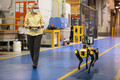 自動車工場にロボット犬が着任！ フォードが「スポット」を生産ラインに導入する理由とは【動画】
