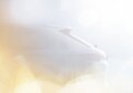 ホンダ、新型ヴェゼルを部分公開　2月18日にワールドプレミア