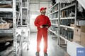 いま、ネオクラシックカーを初めて手に入れたいと考える人が知るべき『5つの覚悟』とは?