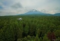 ヤマハ発動機、森林デジタルデータ活用のオンラインセミナー開催…7月24日