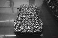 復活デ・トマソ　新型車の写真　カモフラージュで覆われた姿を公開