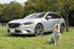 愛犬家必見！　本当にドッグフレンドリーなクルマの選び方と最新オススメ車６選