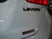 スバルの人気カラー“クールグレーカーキ”をまとったレヴォーグを発見！【東京オートサロン2019】