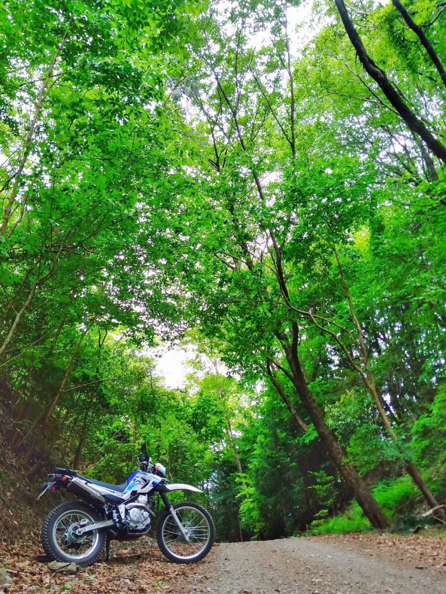 250オフロード車特集 道無き道を走破するまさにファンバイク バイクブロス 自動車情報サイト 新車 中古車 Carview