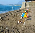 注目！指宿温泉の新グルメ“レトロピカル”【クルマと旅する、にっぽんの温泉】