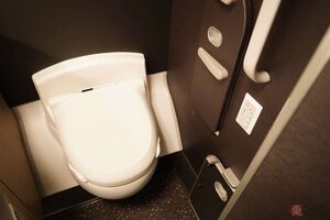 JALが「化粧室にトイレットペーパー以外流さないで！」悲痛な投稿…守らないと何がヤバいのか？ 海外では「大トラブル」にも