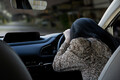 運転中に眠気を感じたら「なる早で仮眠」だけが唯一の安全策！　ただし「寝過ぎ」も逆効果！　研究による仮眠の「最適時間」とは？