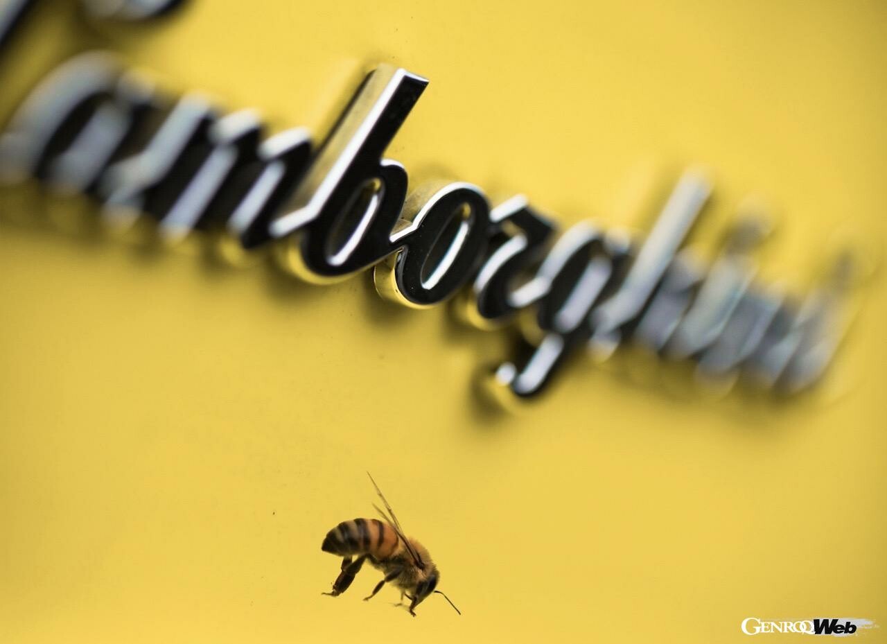 なぜランボルギーニはミツバチを育てるのか？ サンタアガタ・ボロネーゼの養蜂施設を公開